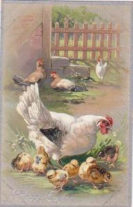 Happy Easter Roosters With Young Chicks Tucks
