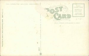 Old Orchard Beach ME Roller Coaster Peck's Prancing Ponies Postcard c1910