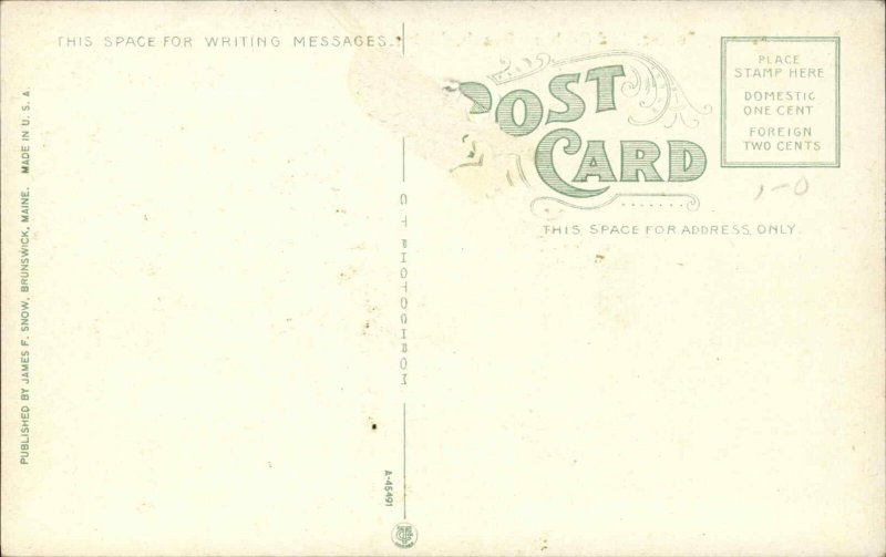 Old Orchard Beach ME Roller Coaster Peck's Prancing Ponies Postcard c1910