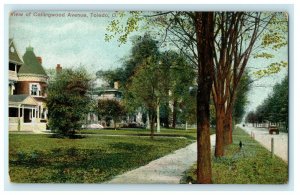 1905 View Of Collingwood Avenue Toledo Ohio OH Unposted Vintage Postcard 