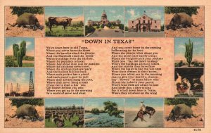 Vintage Postcard Down In Texas Skyline Animals Towerscactus Desert Farms Texas