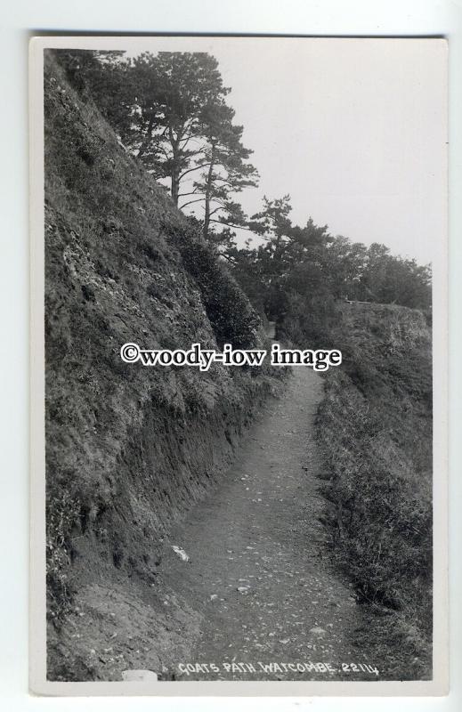 tp9083 - Devon - Walking up Goats Path in Watcombe Hills - postcard - Chapman 
