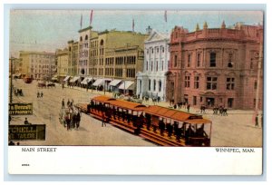 c1910 Trolley Car, Tailor, Businesses, Main Street Winnipeg Canada Postcard 