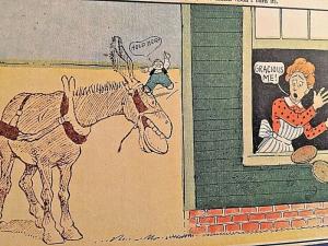 Postcard  Comical  Donkey Loose Gracious Me       W2