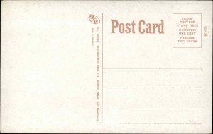 North Haven ME Street View Homes c1910 Postcard