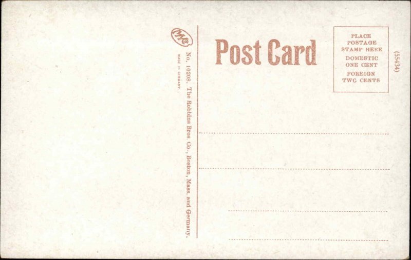 North Haven ME Street View Homes c1910 Postcard