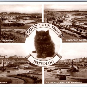 c1930s Waterloo, England RPPC Multi View Cute Kitten Cat Crescent Lily Pond A349