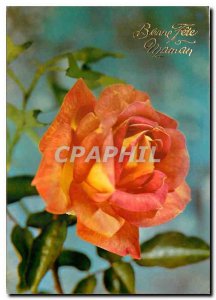 Postcard Modern Flowers Bonne Fete Maman