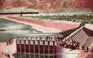 Vintage Postcard 1910's Head Gates Of Irrigation Canal Near Reno Nevada NE