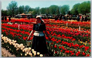 Postcard Holland Michigan MI Tulip Farm Flowers Woman Dress 1950s Chrome View
