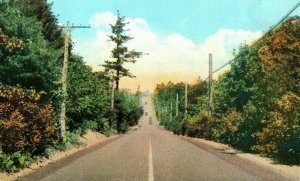 1920's Newburyport Turnpike, Newburyport, Mass. Postcard P175