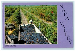 1995 Napa Valley Wine Country Grapes Picking Oakland California CA Postcard