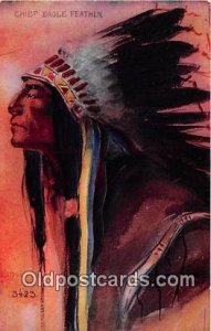 Chief Eagle Feather Artist Peterson Postcard Post Card