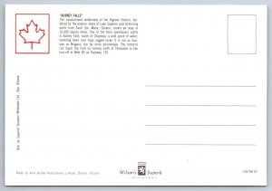 White Tailed Deer, Aubrey Falls, Algoma District Ontario Canada, Chrome Postcard