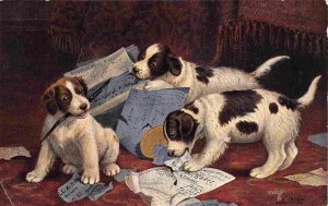 Dog Puppies Settling Accounts 1910c Tuck postcard