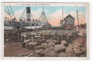 Cotton Steamer Ship Levee Dock New Orleans LA 1920s postcard