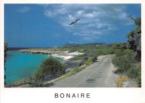 BG14308 bonaire netherlands antilles   caribbean islands