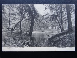 West Midlands WALSALL Park Lime Pits c1906 Postcard by Valentine