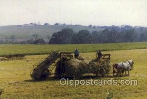 Haying in the Sun Farming Unused 