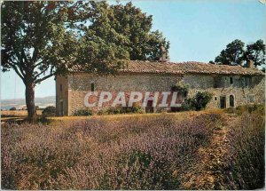 Postcard Modern Belles Images of Provence Old Chapel and its field of lavender