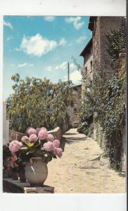 BF22045 cote d azur ruelle pittoresque types france  front/back image