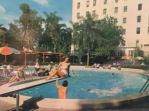 Postcard Poolside Recreation at Harrison Hotel in Clearwater, FL.  T6
