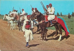 Africa Tunisian cavalry horse soldier gun desert native