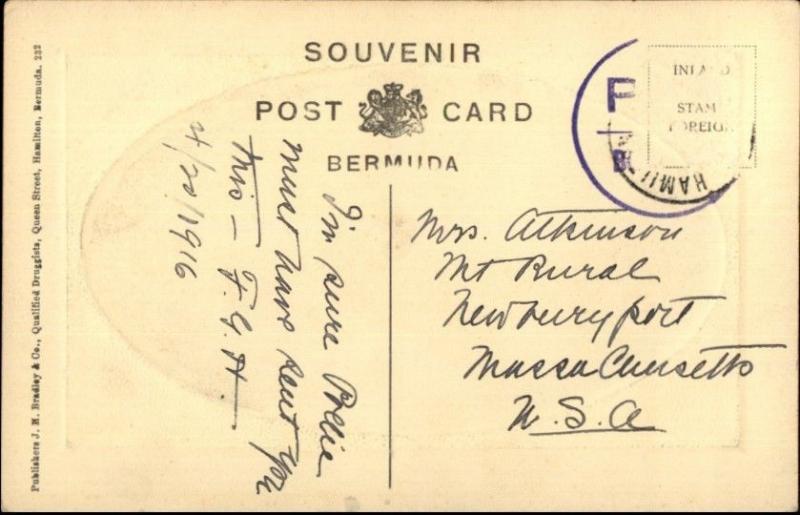 Bermuda St. Davids Lighthouse - Bradley & Co c1910 Postcard