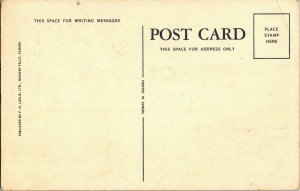 General View Niagara Falls Leslie Ltd Canada Divided Back Vintage Postcard UNP 