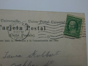 Vintage 1900s Foliage Along Chagres River Panama Postcard