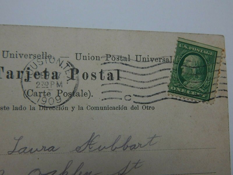 Vintage 1900s Foliage Along Chagres River Panama Postcard