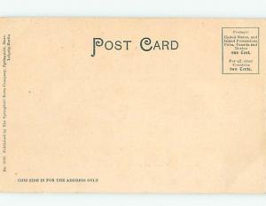 Pre-1907 STREET SCENE Springfield Massachusetts MA W2373