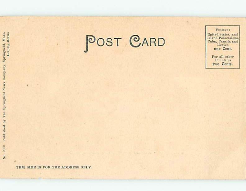 Pre-1907 STREET SCENE Springfield Massachusetts MA W2373