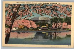 Linen Postcard..Lincoln Memorial Through Cherry Blossoms....