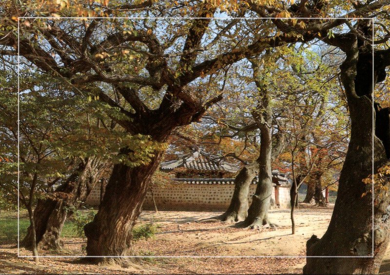 South Korea Kyeongju Gyerim Forest