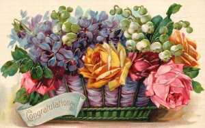 Vintage Postcard 1912 Congratulations Trey Of Flowers Different Varieties Card