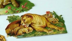 Lot Of Victorian Die-Cuts Lions Cubs Lioness Nice! CT113