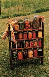 Postcard Harvest Amish And Mennonite Canning