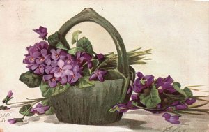 Vintage Postcard Basket Of Violet Flowers Represent Spiritual Wisdom & Humility