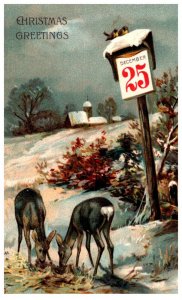Santa Claus ,  Date on Pole,   Deer Feeding