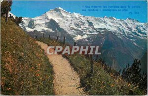 Old Postcard Schynige Platte Jungfrau