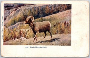 Rocky Mount Sheep Mountain View Horned, Vintage Postcard