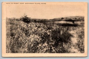 1945  Monhegan Island  Maine  Path to Burnt Head   Postcard