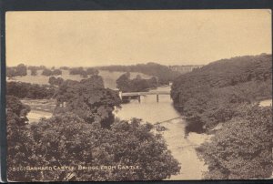 Co Durham Postcard - Barnard Castle: Bridge From Castle   RS17783