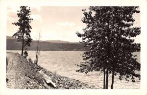 Lake Coeur D Alene Idaho Scenic Waterfront Real Photo Antique Postcard K31388