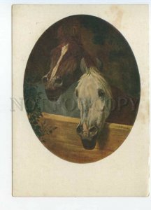 486271 USSR 1932 Sverchkov friends Horse Breeding Museum publishing house GIZ