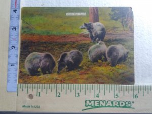 Postcard Folder Grizzly Bear Family, Yellowstone National Park, Wyoming