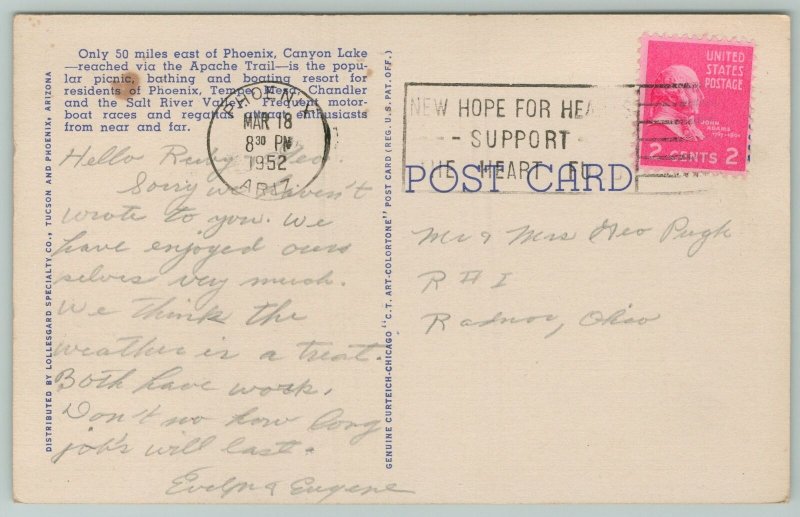 Apache Trail Arizona~Canyon Lake~Cactus In Desert~Vintage Postcard