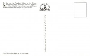 Vintage Postcard Paradise Valley Mount Rainier National Park Myrtle Falls Wash.