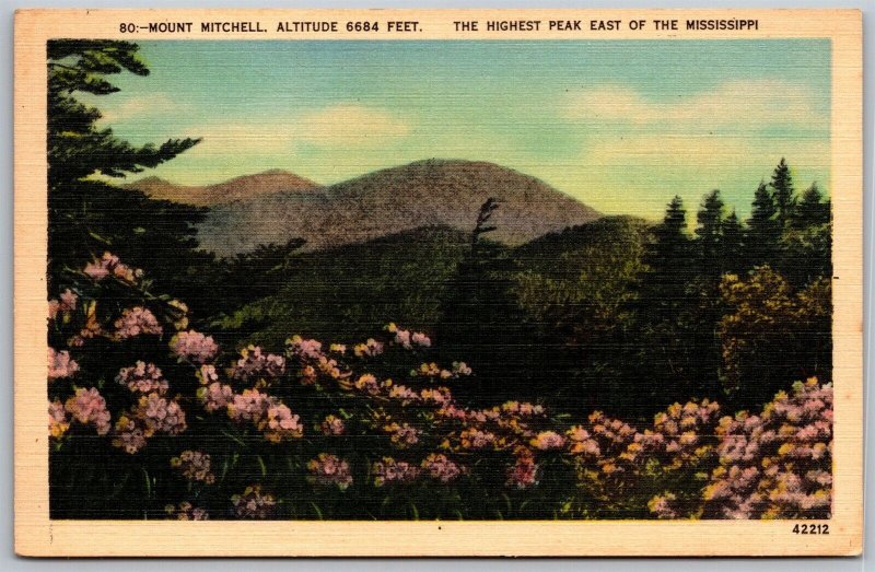 Vtg North Carolina NV Mount Mitchell Rhododendrons 1930s View Old Postcard